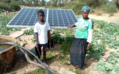 Sénégal-énergies : « garantir l’accès à l’électricité pour l’épanouissement des femmes rurales »