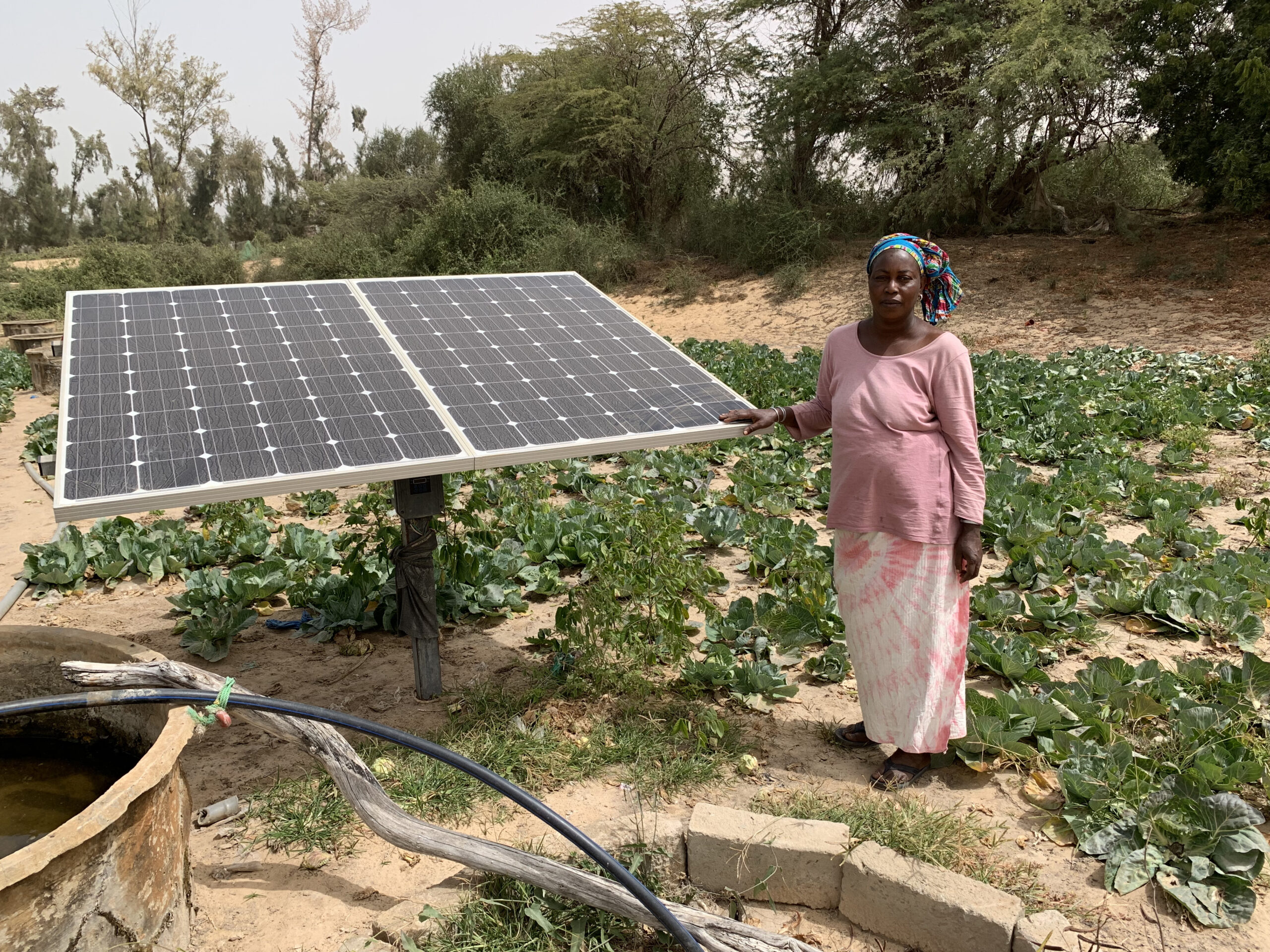 Aïssata Ba prévoit de surmonter ses problèmes de main-d’œuvre agricole en mécanisant son système d’irrigation
